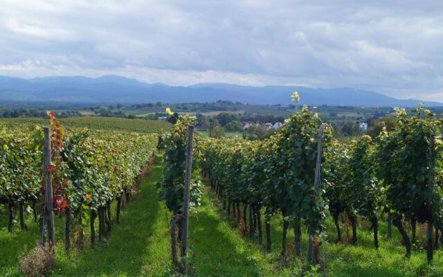 Weingut Landmann Ferienwohnungen