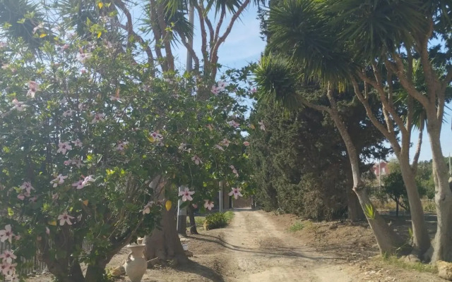 Villa "Gli Ulivi di Atena"