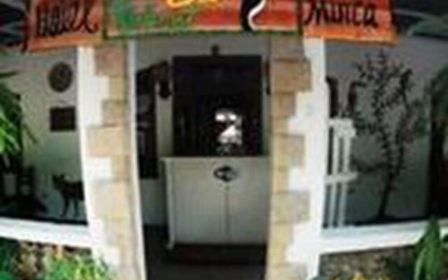 Hostal Eco Point Minca - Hostel
