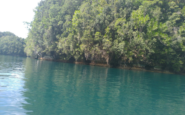 Siargao Tropic Hostel