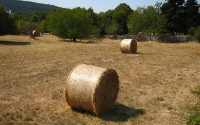 Štirenca