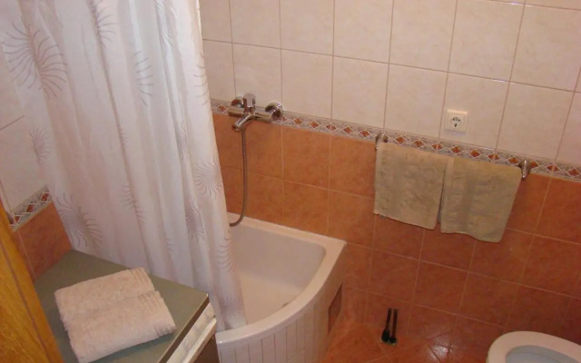 Apartments Ledic