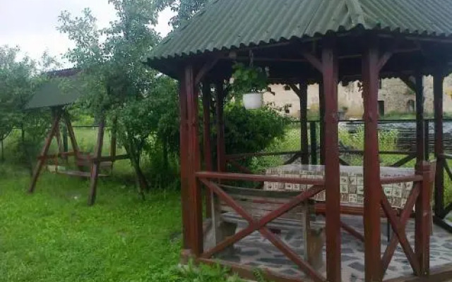 pensiunea Montana Sapinta