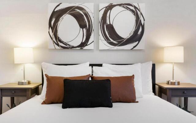 Simple and Roomy 1BR Apt in Evanston