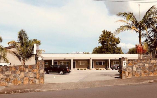 Auckland Phoenix Palm