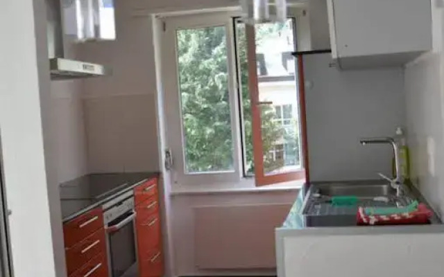 BnB Apartments Steinbock