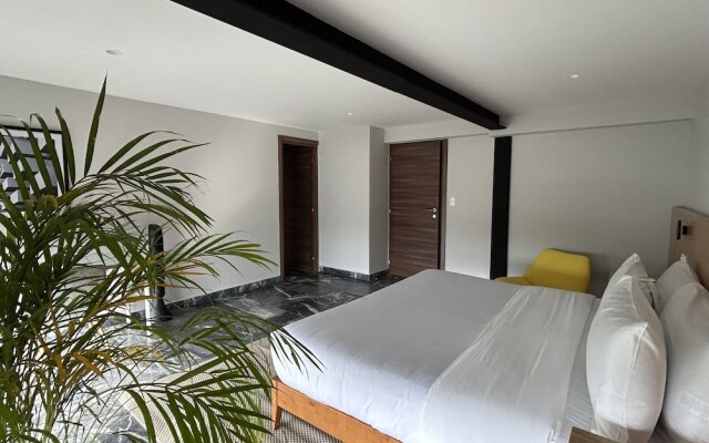 Wynwood House Arquimedes