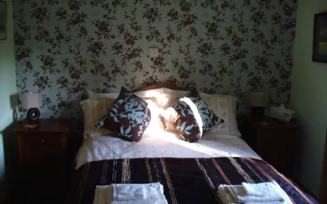 Vine Cottage B&B