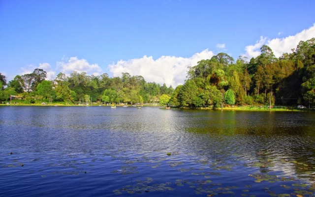 Goldan Parks Inn