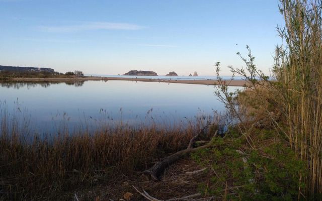 Escapada a l'Estartit - Argonavis