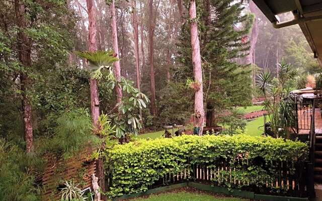 Buderim Forest Hideaway