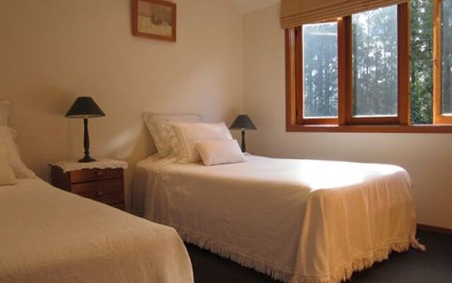 Dancing Trees Bed & Breakfast - Queen Room