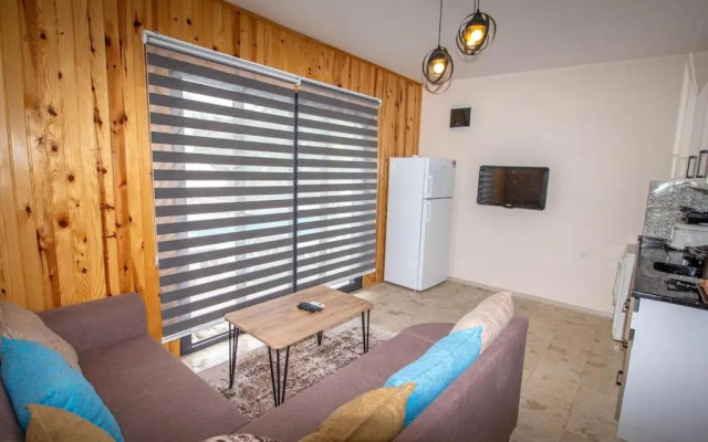 Pamuk Bungalov 2 Apart