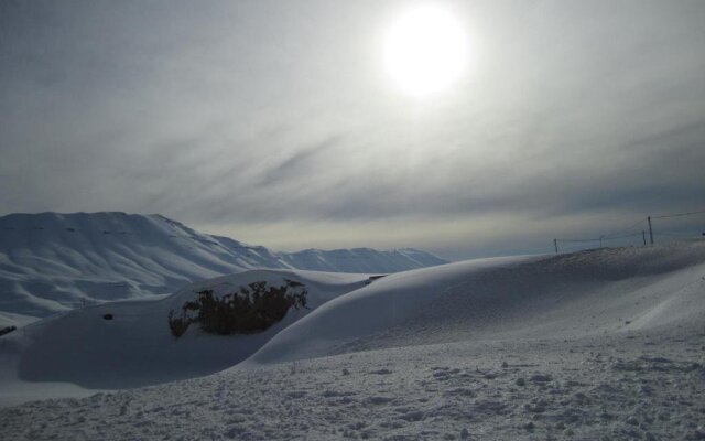 Cedars Palace