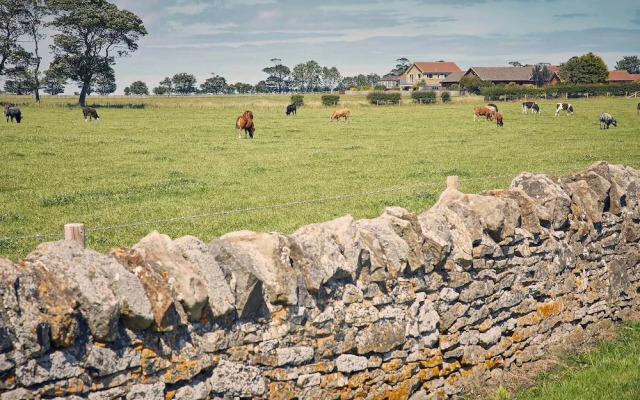 Host Stay Cheviot View