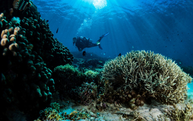 Amed Lodge by Sudamala Resorts