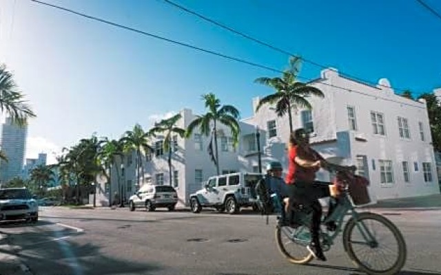 Jasper Miami