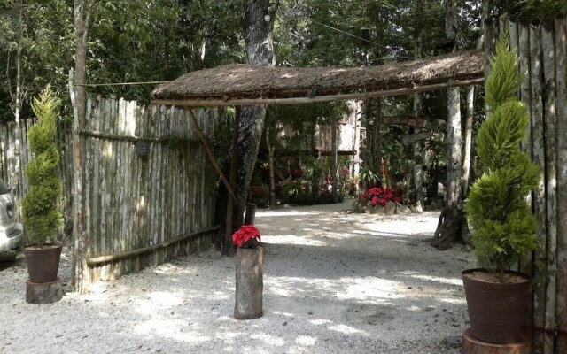 Kiool Eco Hotel & Cenote