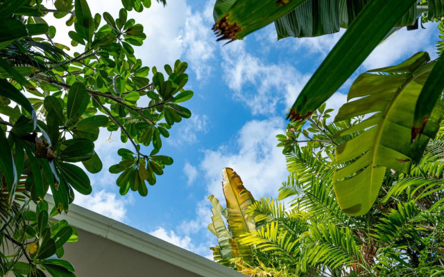 Villa Ibu Dua - cute 1BR Seminyak gem in great location