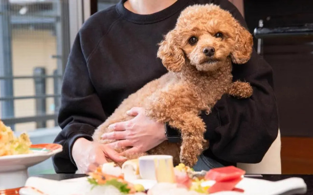 Izu Nagaoka Onsen Fukuritei Ogawaya