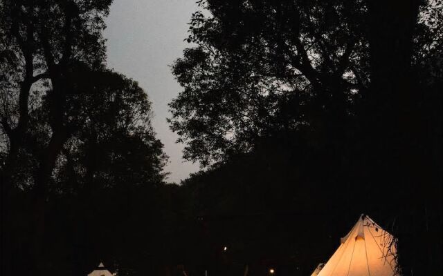 The Tale of Butterfly