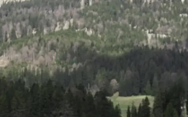 Berggasthof Willy Merkl