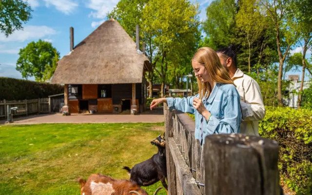 Wooden Chalet with Dishwasher near De Veluwe National Park