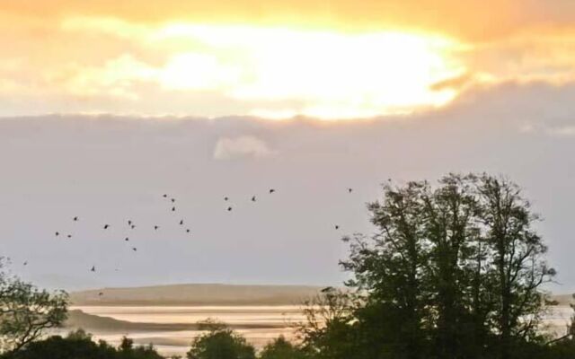 Priory View