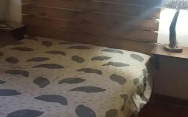 Owl House Marloth Park