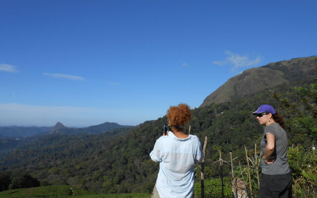 Tea Harvester Munnar