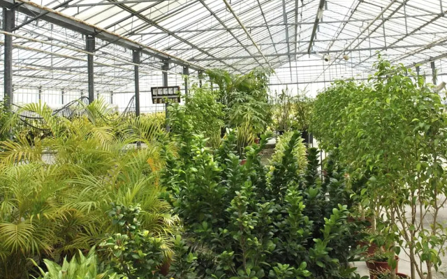 Belvilla by OYO Vesuvio