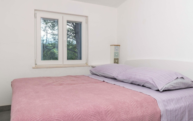 Apartments Jase