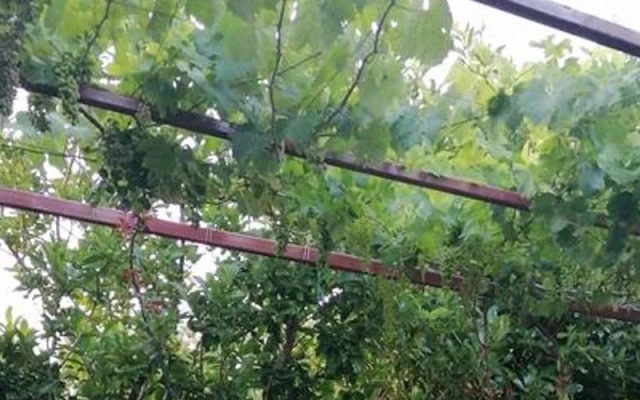 Assos Agura Pansiyon