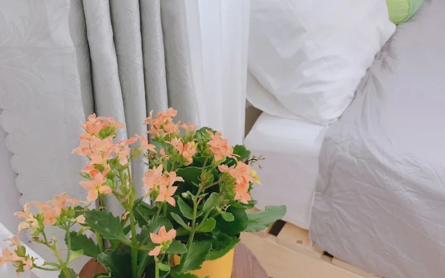 Yen Homestay Phu Yen