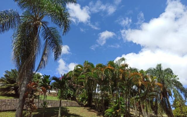 Pousada Barão do Javary