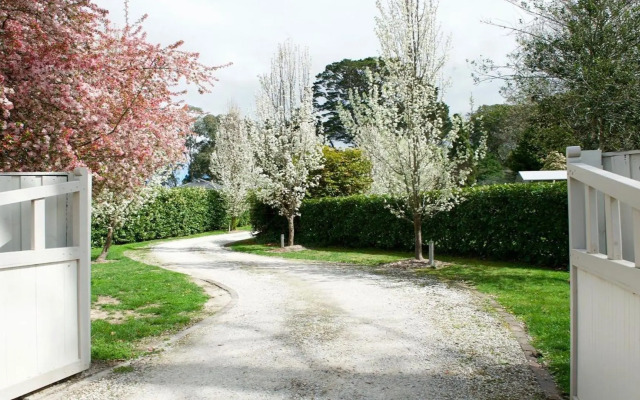 Robin Hill Manor - rambling retreat & tennis court