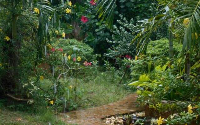 Jungle Flower Guest House