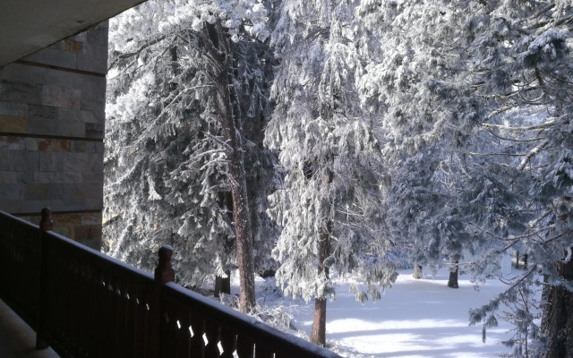 Luxury Apartament in "Sequoia" 2