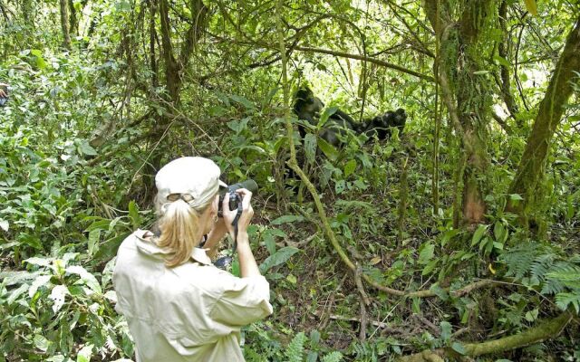 Sanctuary Gorilla Forest Camp