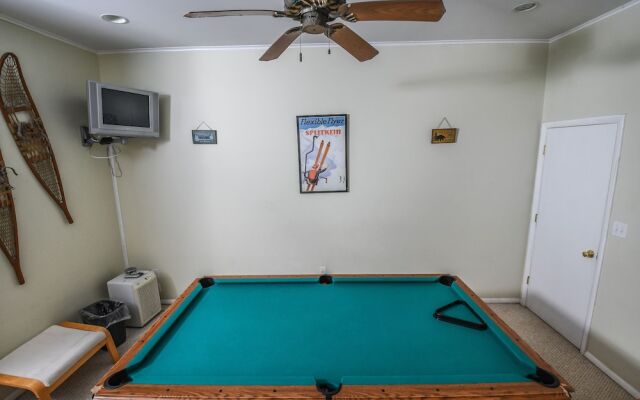 Bearadise Found 5 Bedroom House