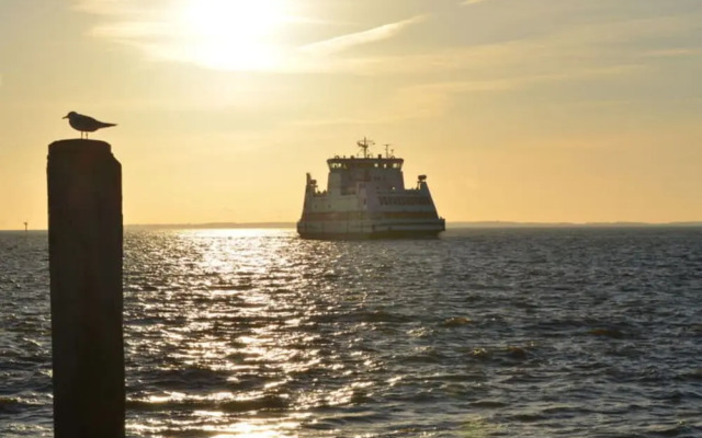 Holiday Home Gray Seal