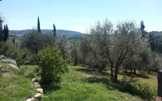 Poggio Borgoni