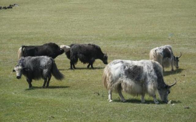 Mongolia