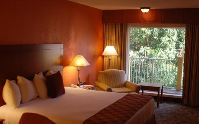 Oasis Boca Raton