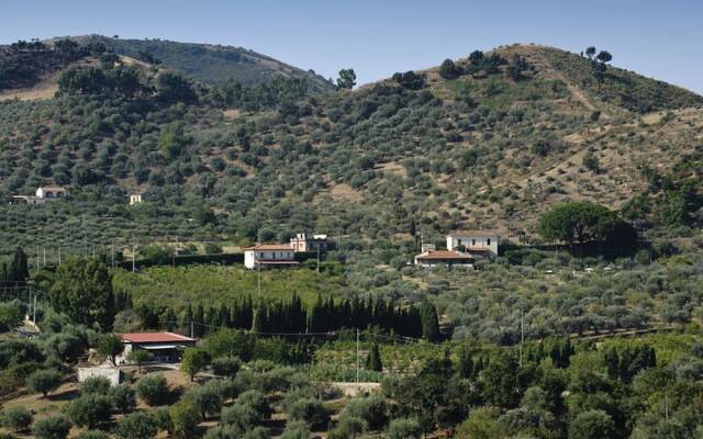 Spacious Holiday Home in Patti With Pool