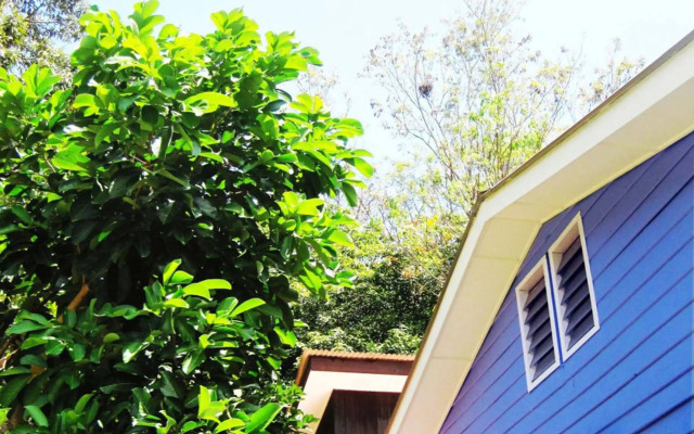 Foo Homestay
