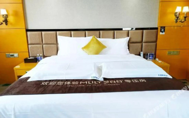 Zhongxiang Fengshuoyuan International Hotel (Zhongbai Plaza Bus Terminal)