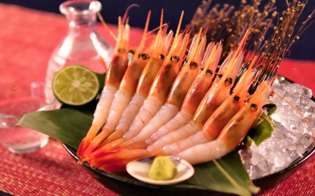 The Restreat Mikuni by the sea (3 Groups per Day)