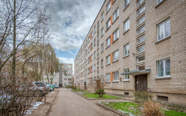 Modern n'lovely apartment