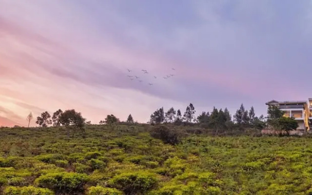 Sleeping Beauty By Nature Resorts